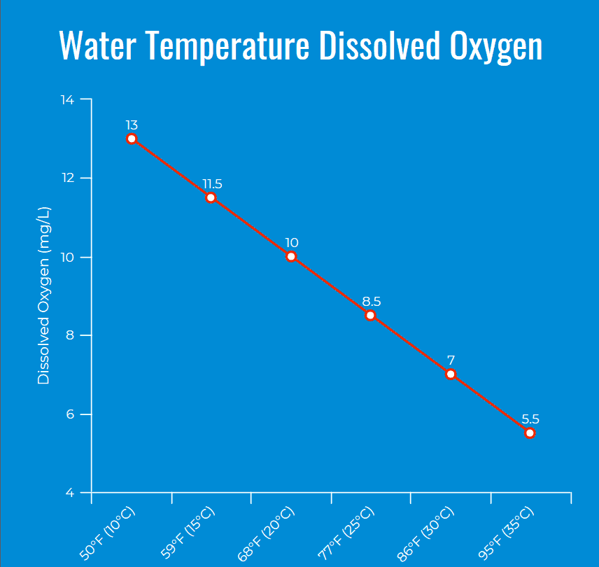 Hydroponic Water Temperature Dissolved Oxygen Content