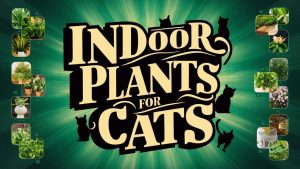 Indoor Plants that for Cats