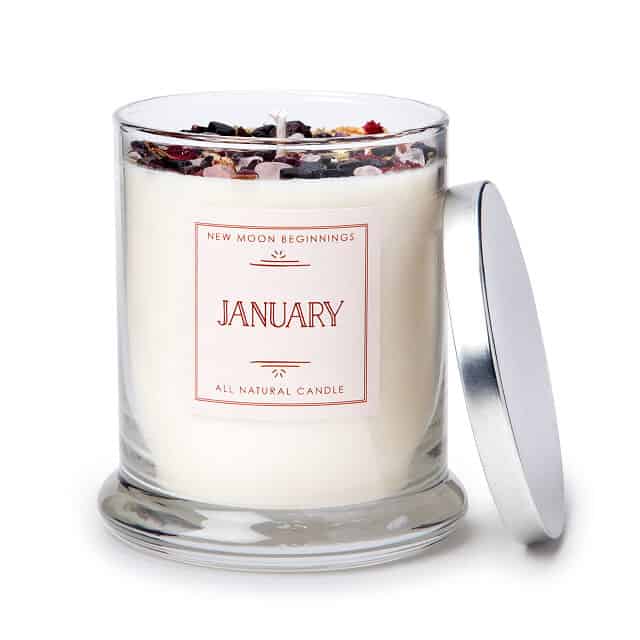 January Birth Month Gemstone & Carnation Flower Candle