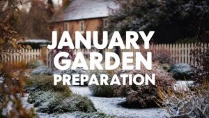 January Garden Prep