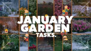 January Garden Tasks