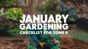 January Gardening Checklist Zone 8