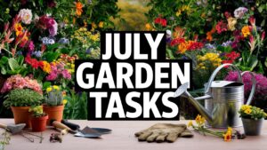 July Garden Tasks