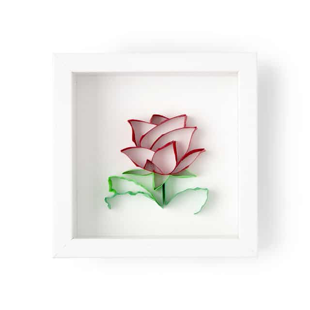 June Birth Month Flower Rose 3D Art