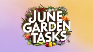 June Garden Tasks