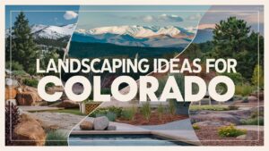 Landscaping Ideas For Colorado