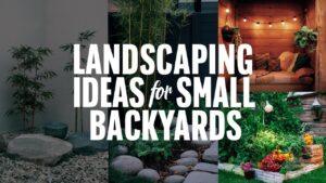 Landscaping Ideas For Small Backyards