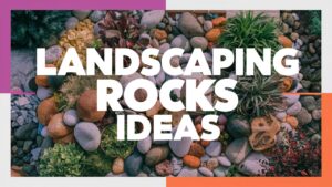 Landscaping Rocks Ideas