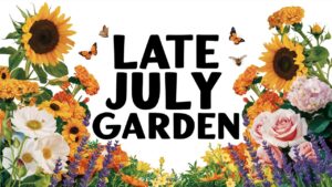 Late July Garden