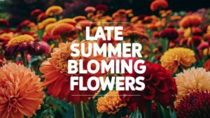 Late Summer Blooming Flowers