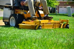 Lawn Care Services: The Best of the Best
