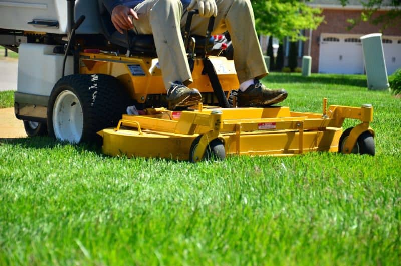 Lawn Care Services – The Best of the Best