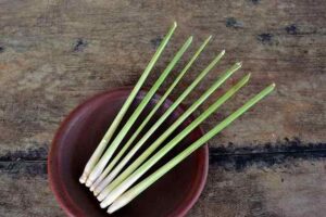 How To Grow Lemongrass