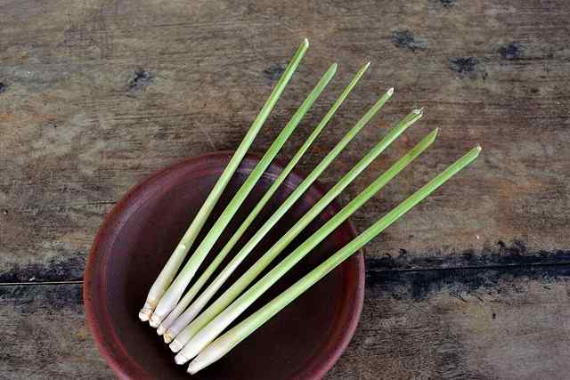 How To Grow Lemongrass