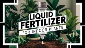 Liquid Fertilizer For Indoor Plants