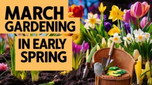 March Gardening in Early Spring