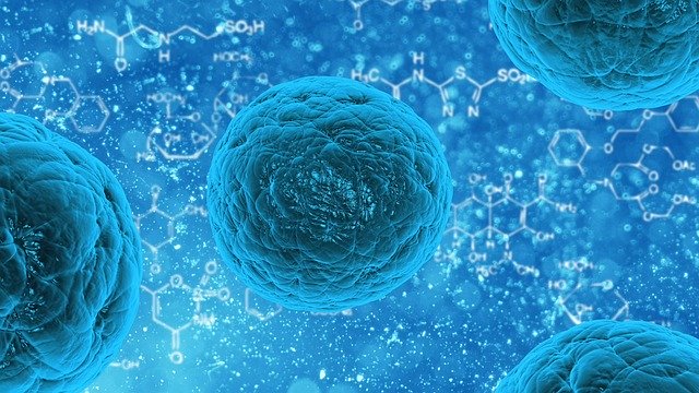 Microbe Fungi - Treating Root Rot with Hydrogen Peroxide DWC