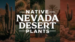 Nevada Desert Plants