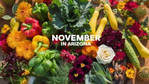 What To Plant In November In Arizona