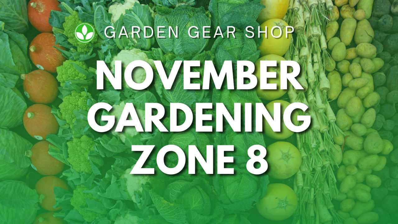 November Gardening Zone 8