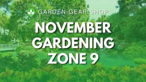 November Gardening in Zone 9