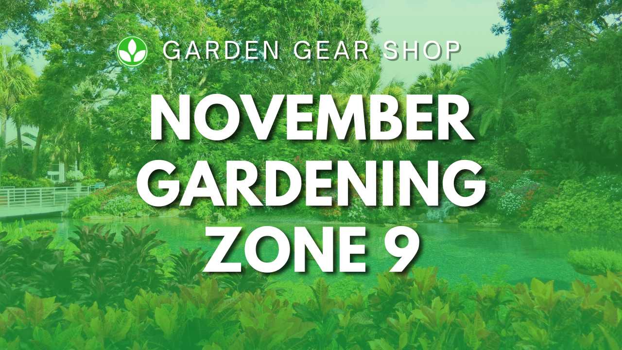 November Gardening Zone 9