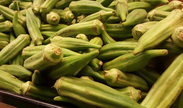 Okra Care & Harvest