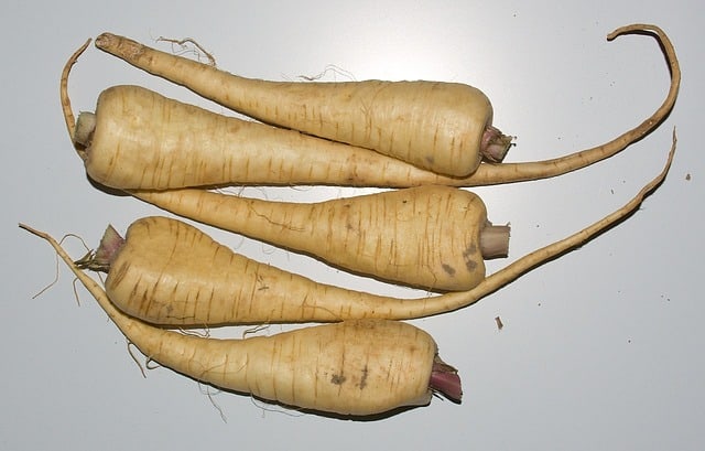 Parsnip Care & Harvest