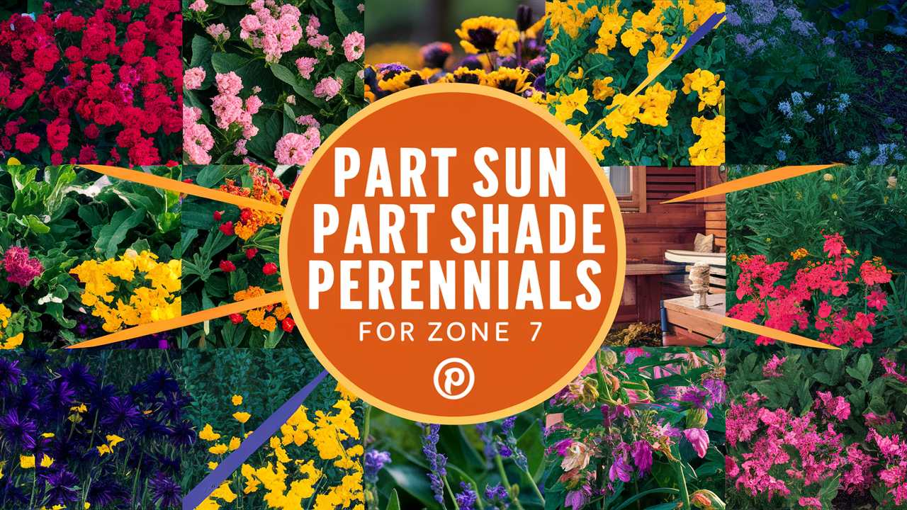 Part Sun Part Shade Perennials For Zone 7