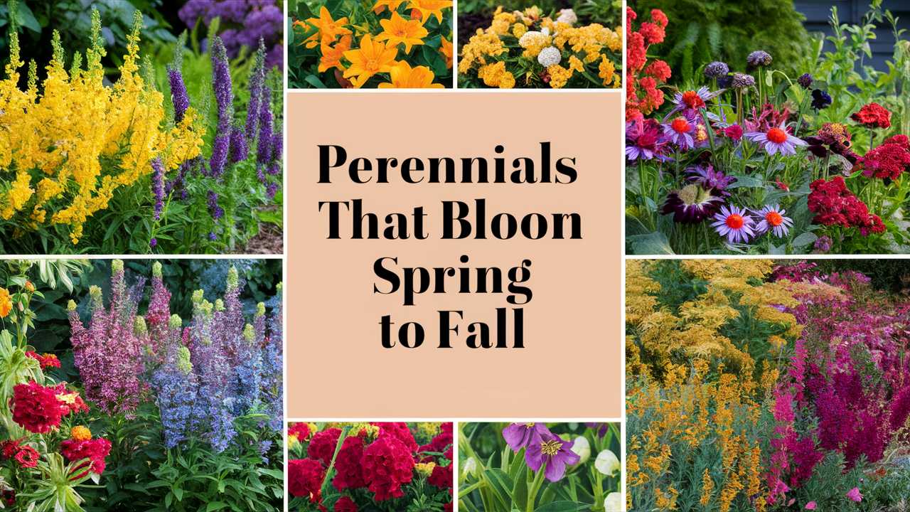 Perennials That Bloom Spring To Fall