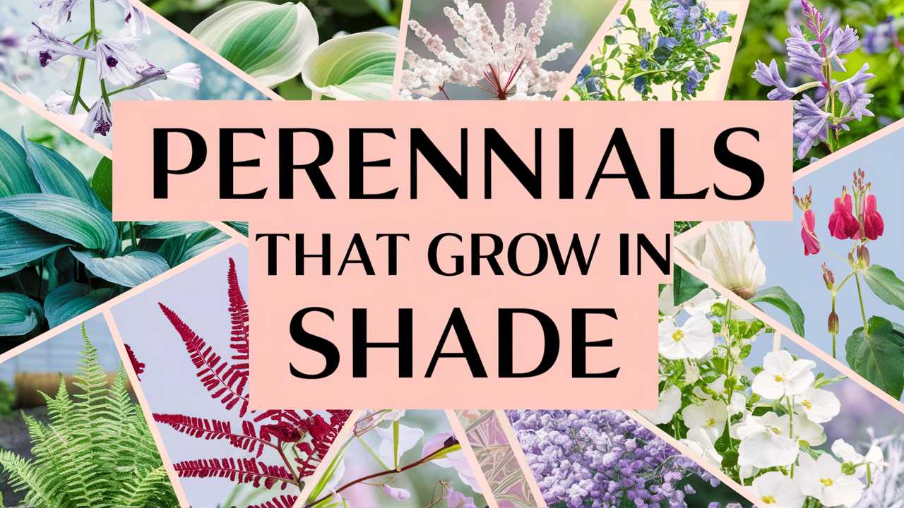 Perennials That Grow In Shade