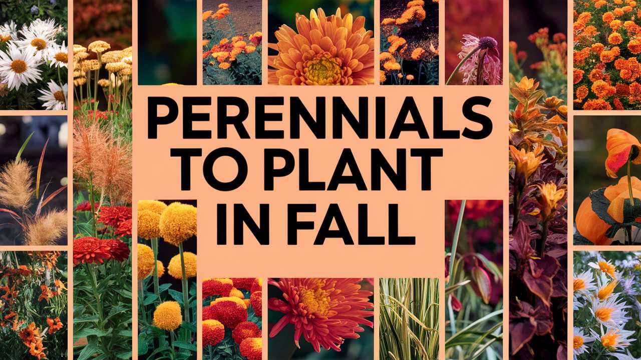 Perennials To Plant In Fall