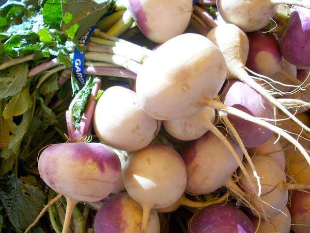 Planting Turnip Seeds