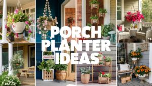 Porch Planter Ideas