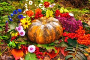 Pumpkin Floral Arrangements