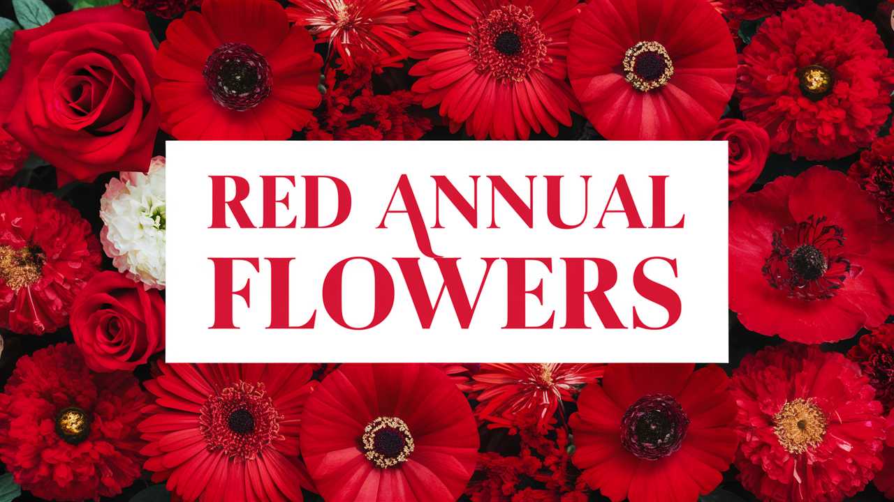 Red Annual Flowers