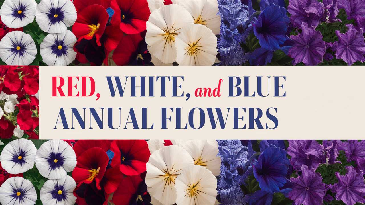 Red White And Blue Annual Flowers