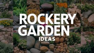 Rockery Garden Ideas