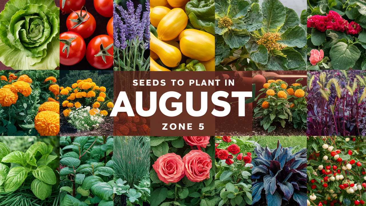 Seeds To Plant In August Zone 5