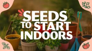 Seeds To Start Indoors