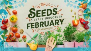 Seeds To Start Indoors In February