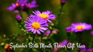 September Birth Flower Gift Ideas