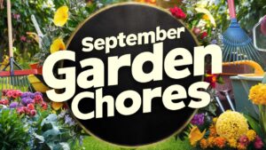 September Garden Chores