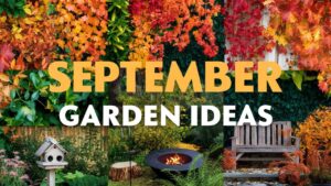 September Garden Ideas