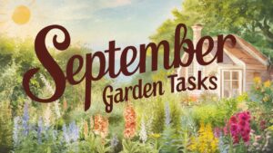 September Garden Tasks