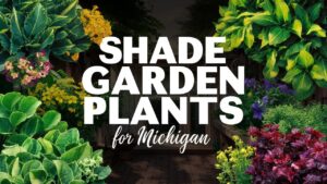 Shade Garden Plants For Michigan