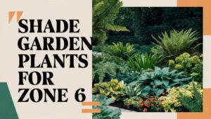 Shade Gardens Plants For Zone 6