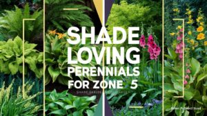 Shade Loving Perennials For Zone 5