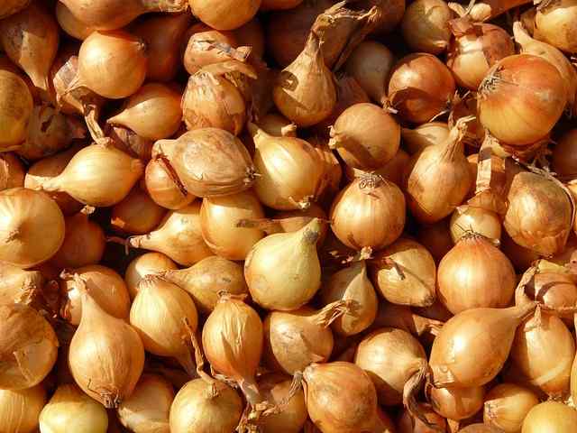 How To Grow Shallots