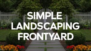 Simple Landscaping Front Yard